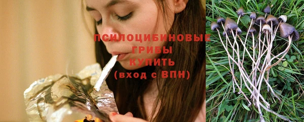 spice Сатка